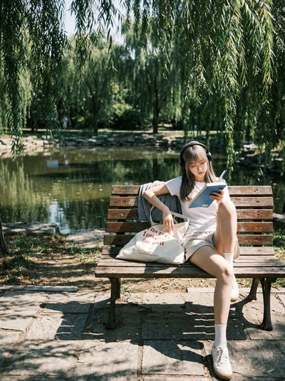 Nostalgic Solitude Beneath Weeping Willows