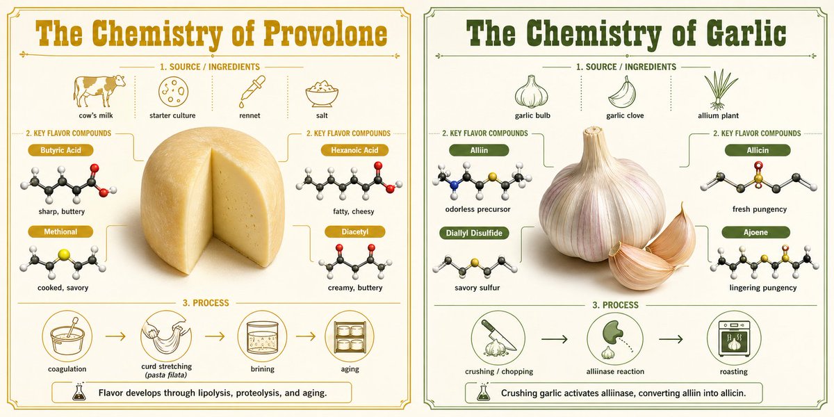 The Chemistry of Provolone and Garlic Revealed