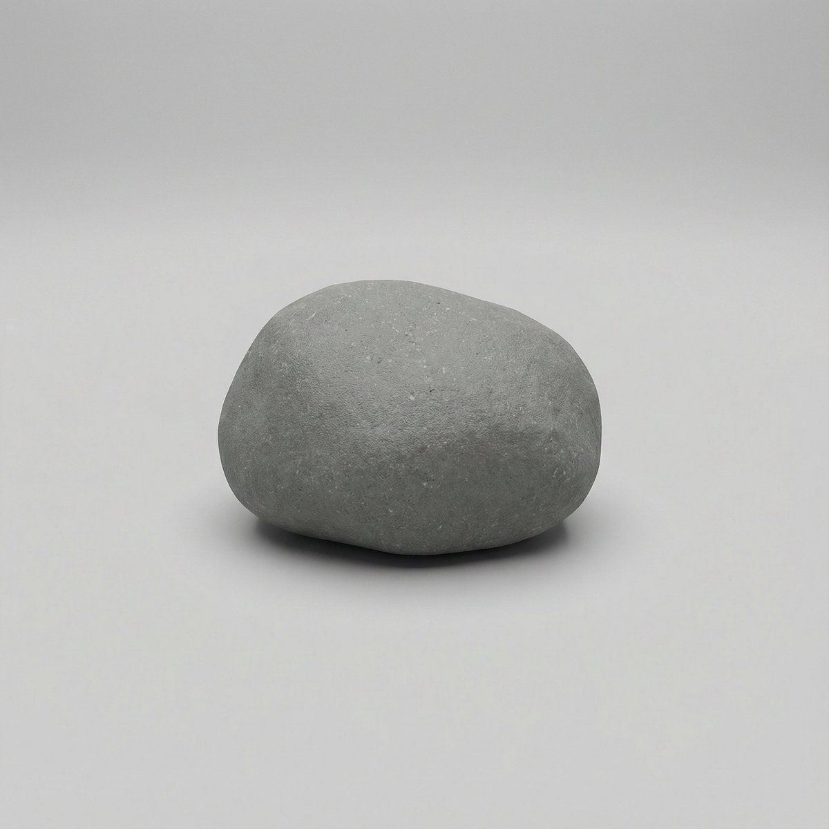 The Unassuming Star: A Rock's Quiet Moment