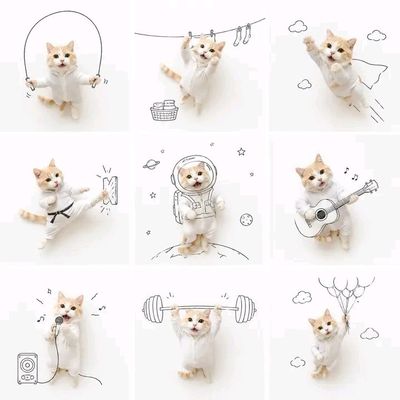 Fluffy orange kitten explores nine whimsical adventures in scrapbook style