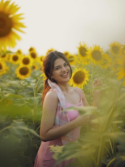 Golden Hour Bliss in a Sunflower Dreamscape