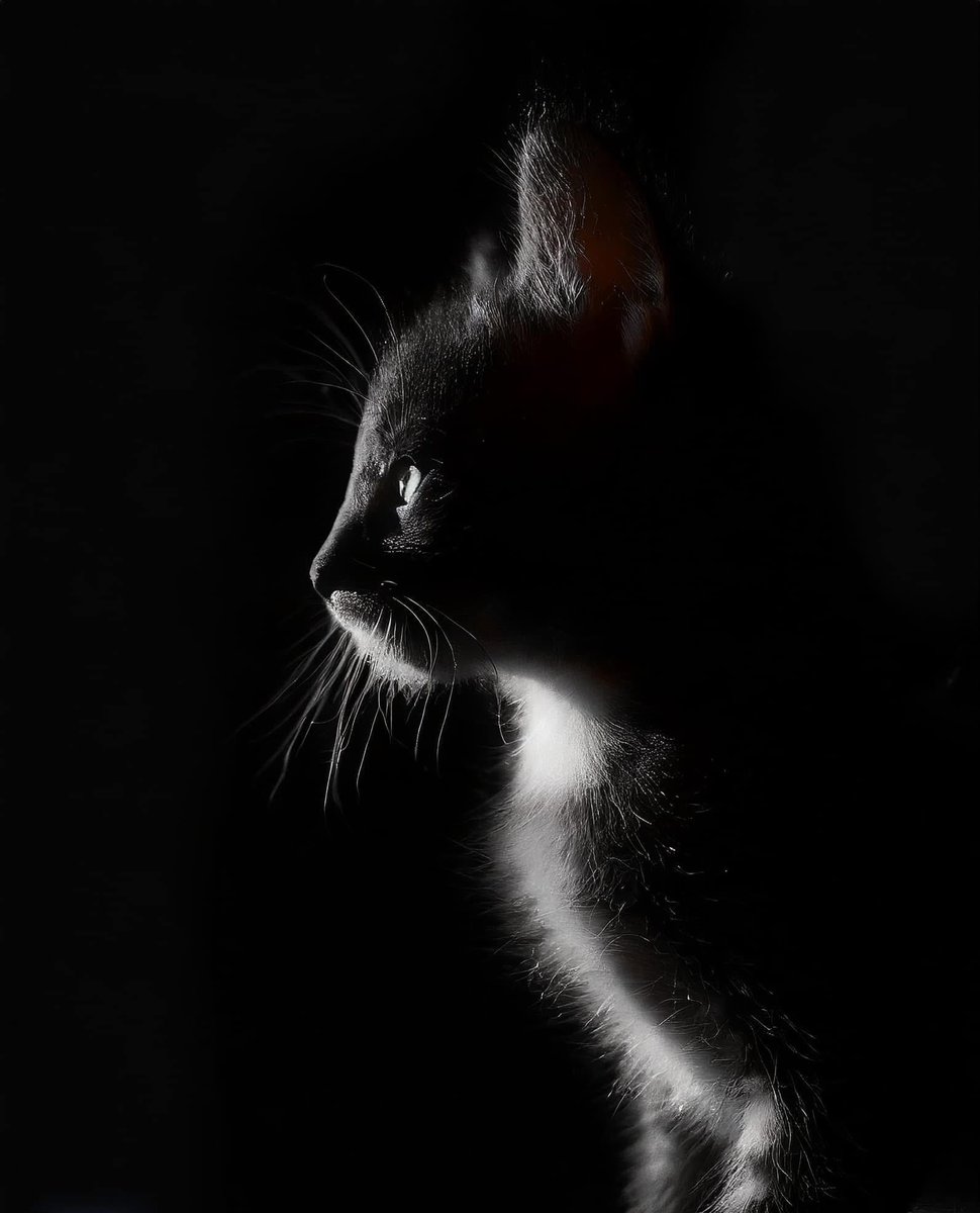 Illuminate Your Art with Chiaroscuro Magic