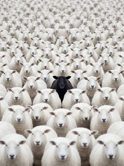 Defying Uniformity: A Tale of One Among Many