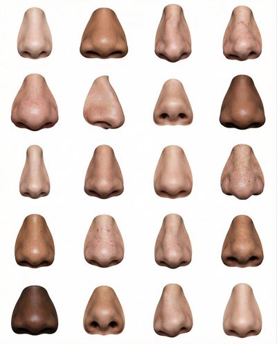 The Anatomy of Noses: A Diverse Collection